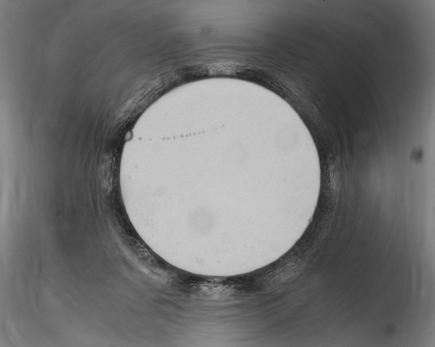 X0000114600311200911301429