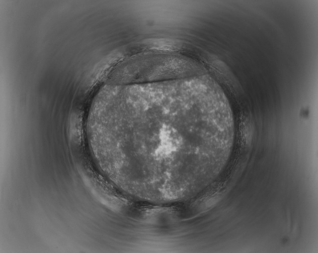 X0000114600312200911301429