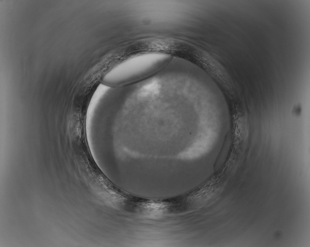 X0000114600313200911301429