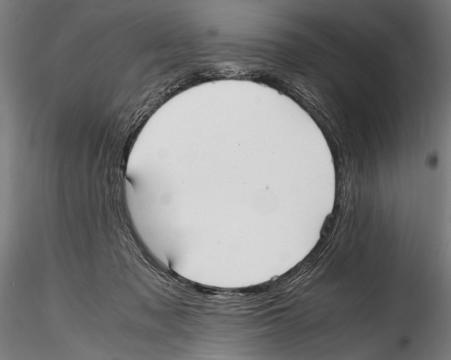 X0000114600317200911301429