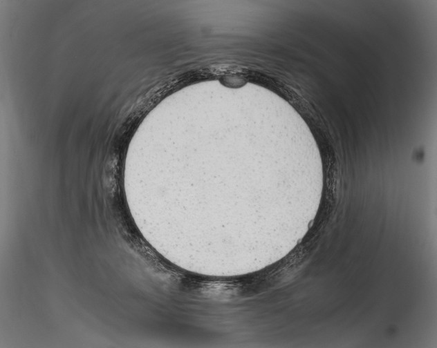 X0000114600319200911301428