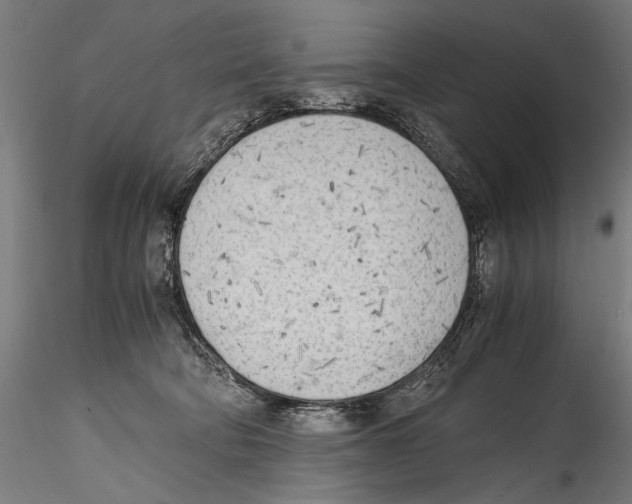 X0000114600322200911301428