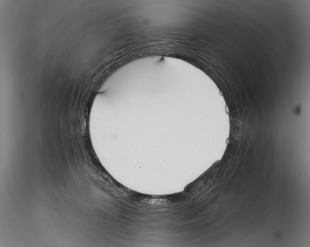 X0000114600324200911301428