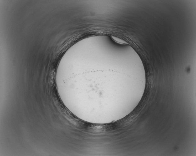 X0000114600325200911301428