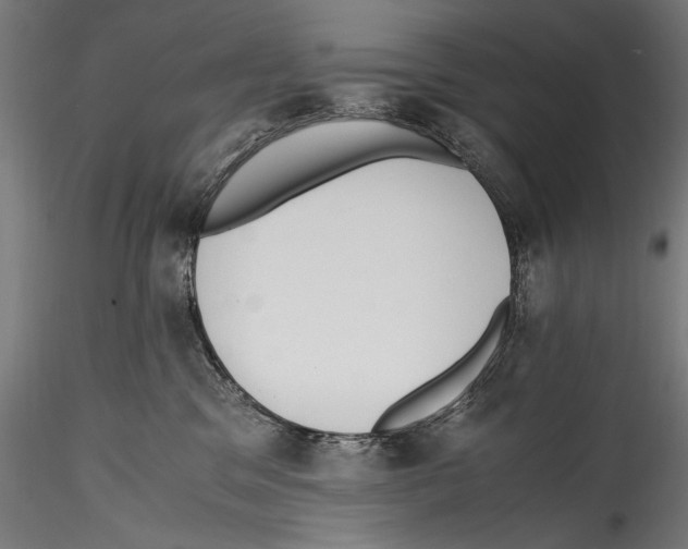 X0000114600329200911301428