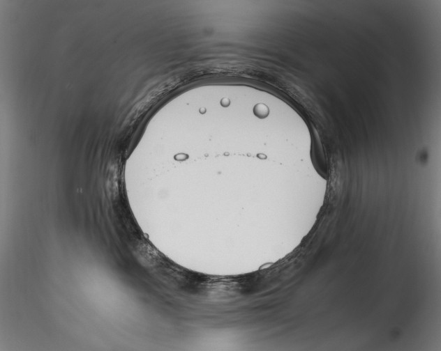 X0000114600333200911301428