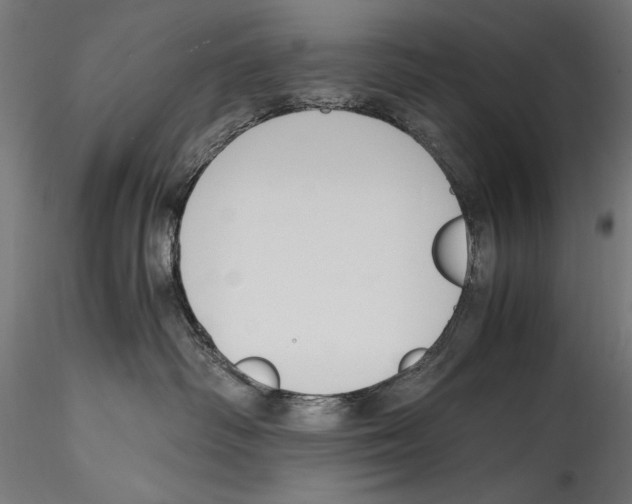 X0000114600334200911301428