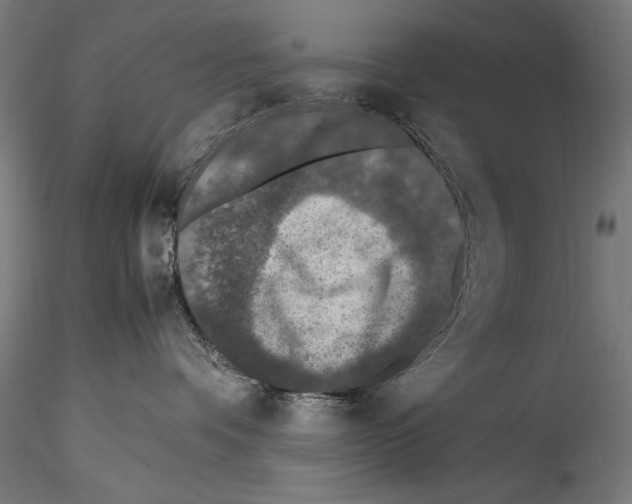 X0000114600336200911301428