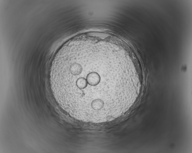 X0000114600337200911301428