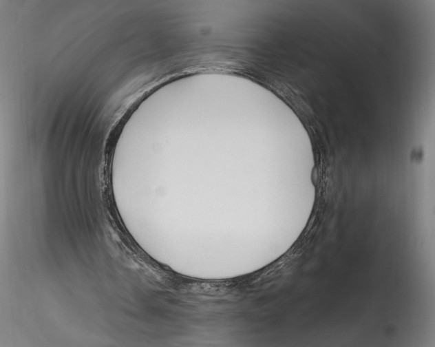 X0000114600338200911301428