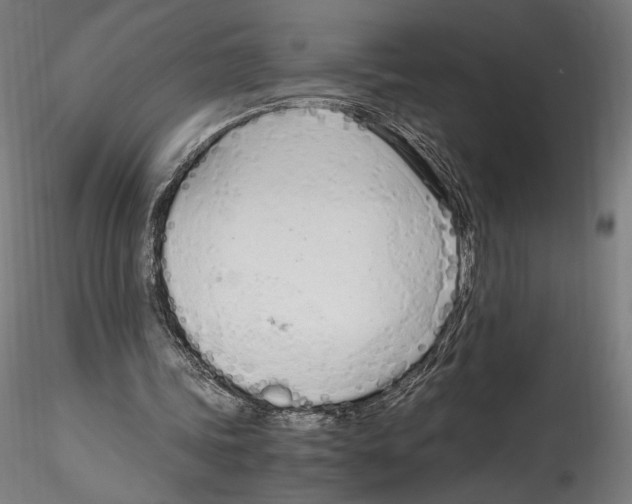 X0000114600339200911301428