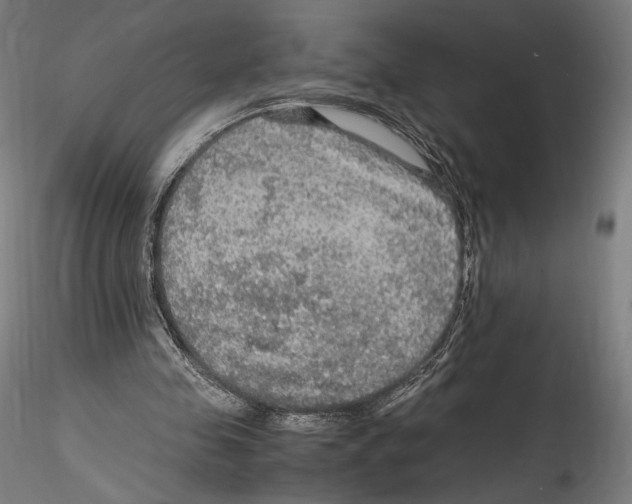 X0000114600341200911301428