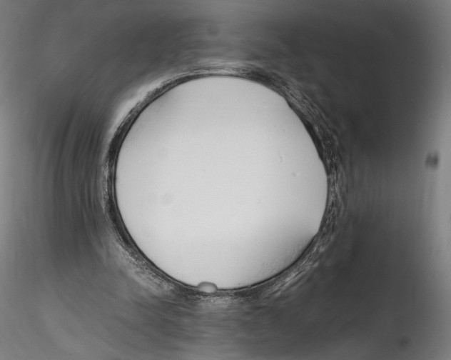 X0000114600342200911301428