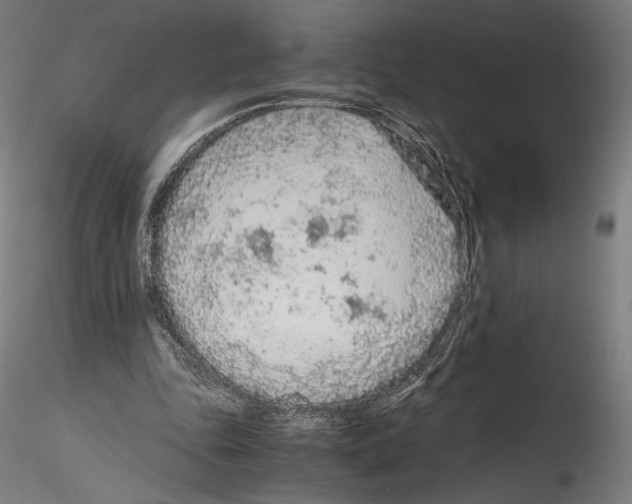 X0000114600343200911301428