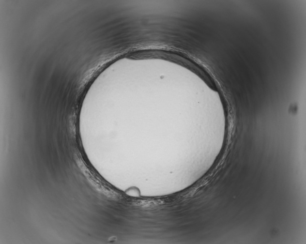 X0000114600345200911301428