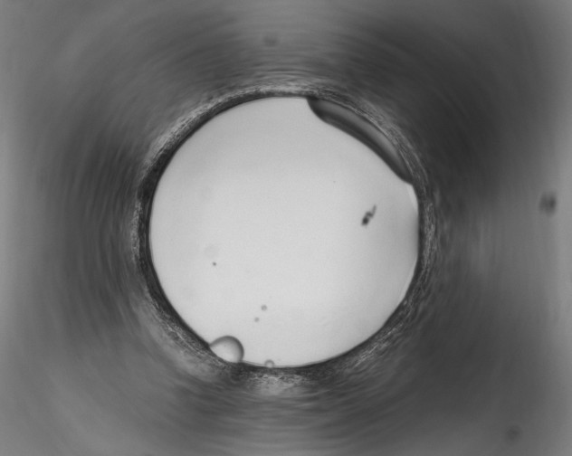 X0000114600346200911301428