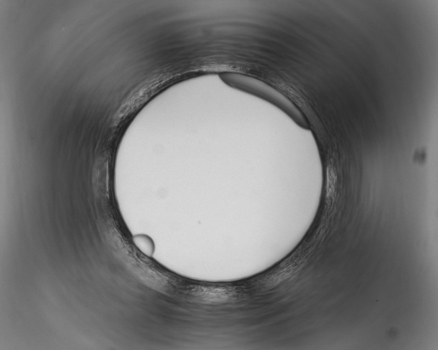 X0000114600349200911301428