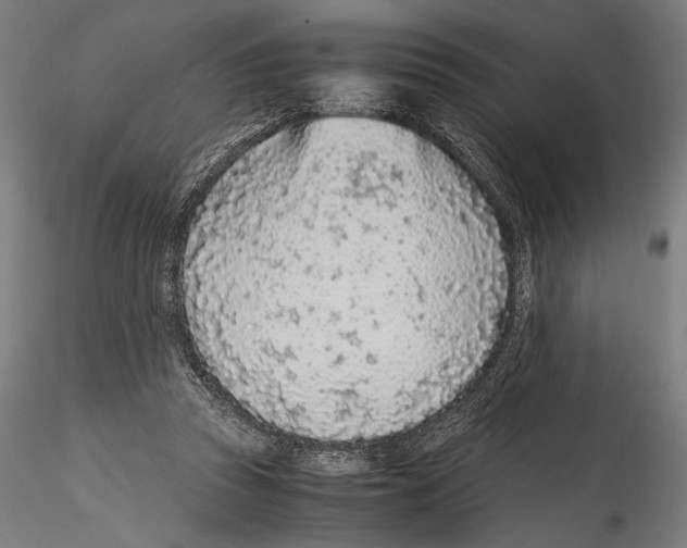 X0000114600353200911301428