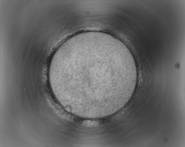 X0000114600354200911301428