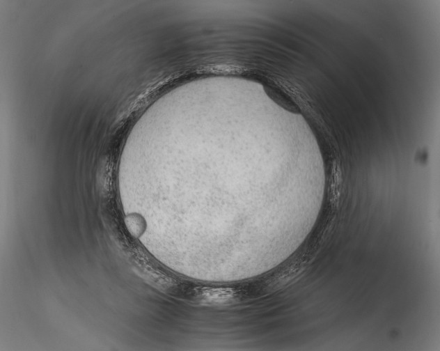 X0000114600355200911301428