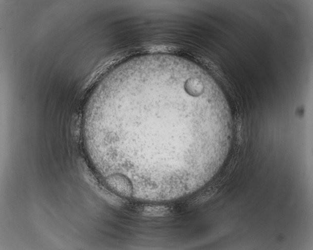 X0000114600357200911301428