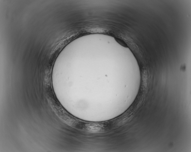 X0000114600359200911301428