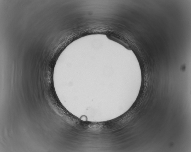 X0000114600362200911301428