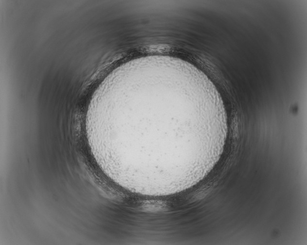 X0000114600363200911301428