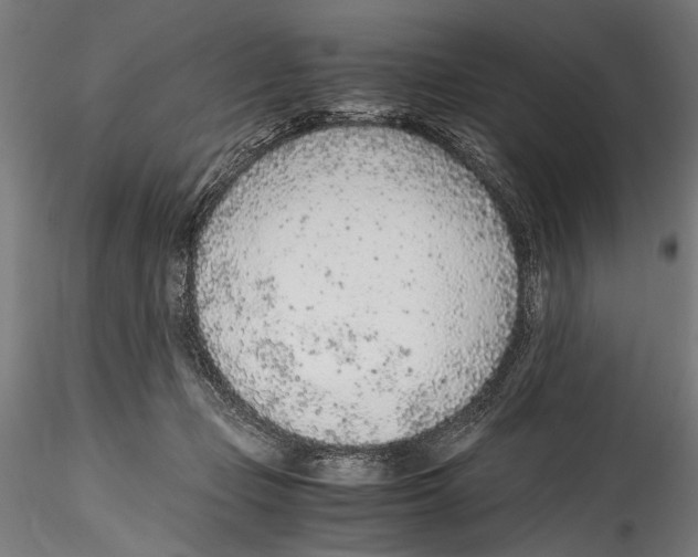 X0000114600365200911301428