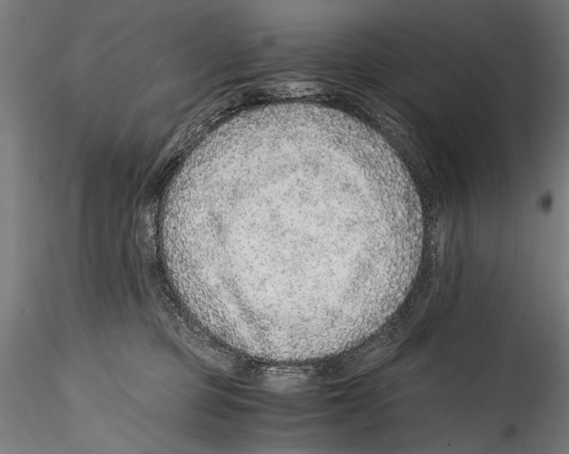 X0000114600373200911301428