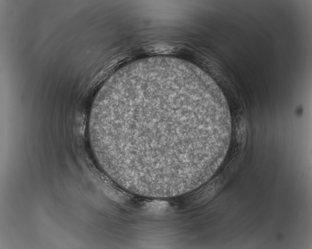 X0000114600374200911301428