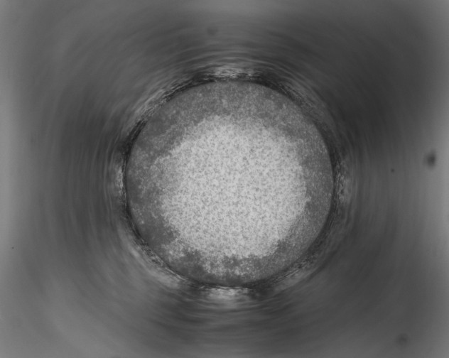 X0000114600375200911301428