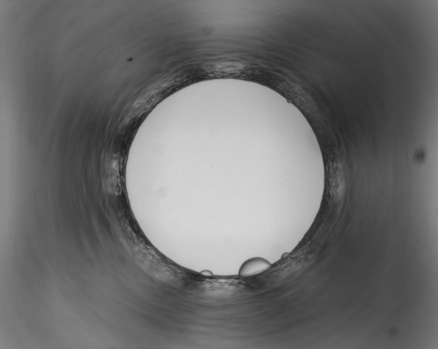 X0000114600378200911301428