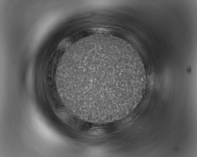 X0000114600381200911301428