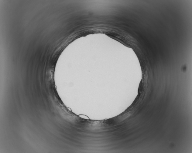 X0000114600382200911301428