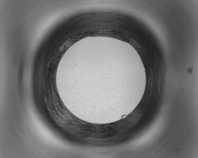 X0000114600383200911301428