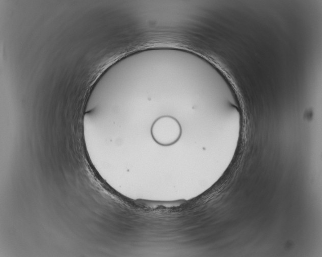 X0000114600385200911301428