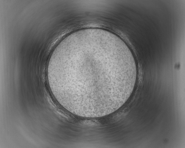 X0000114600386200911301428