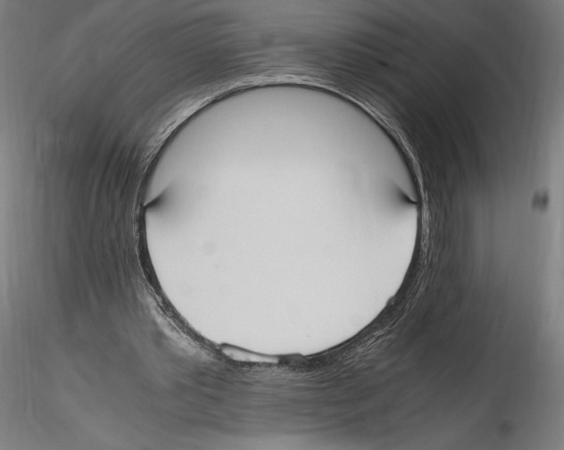 X0000114600389200911301428