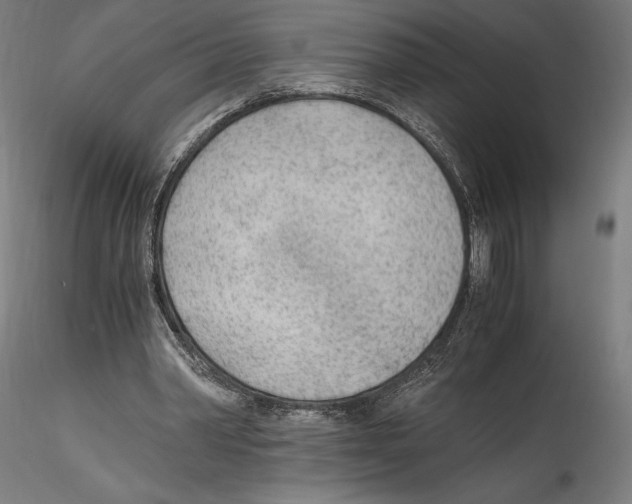 X0000114600390200911301428