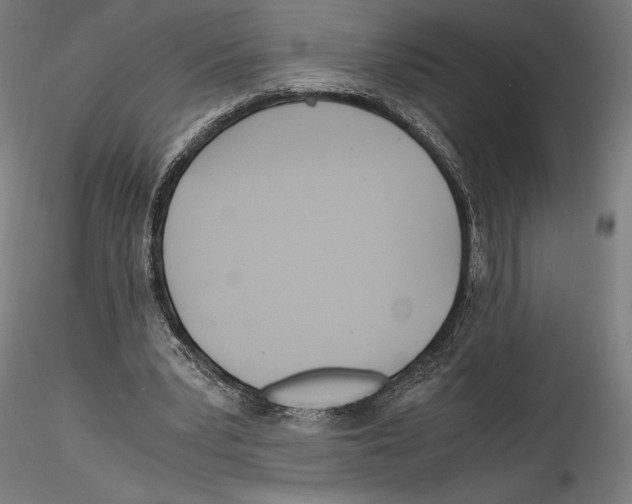 X0000114600391200911301428