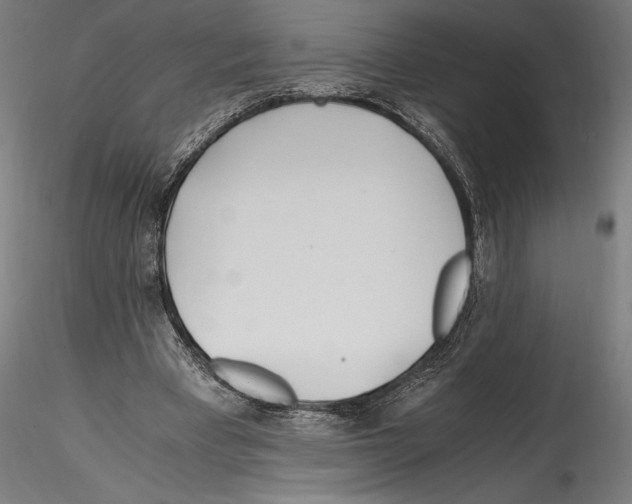 X0000114600393200911301427