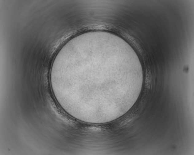 X0000114600394200911301427