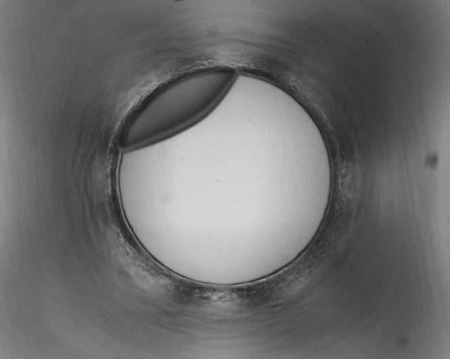 X0000114600395200911301427