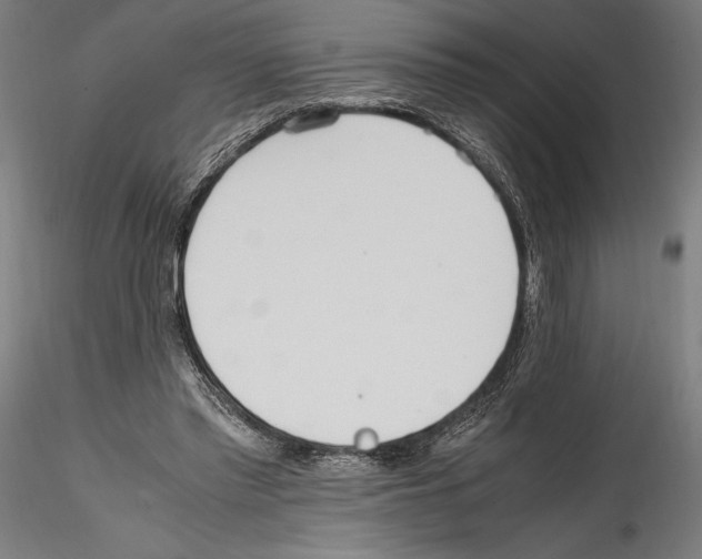 X0000114600397200911301427