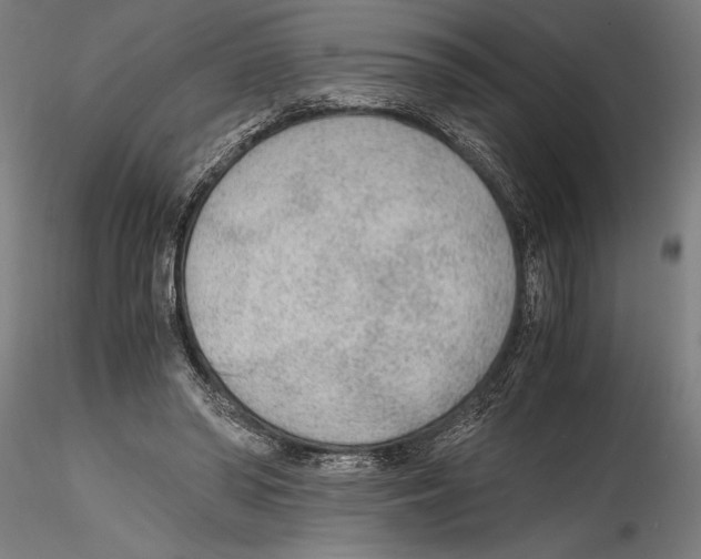 X0000114600398200911301427