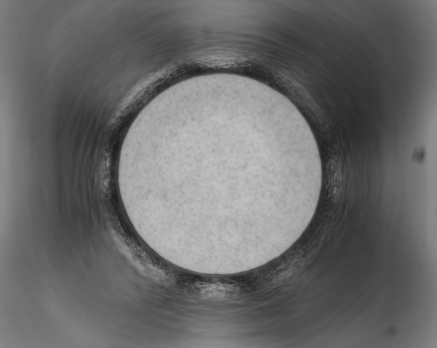 X0000114600400200911301427