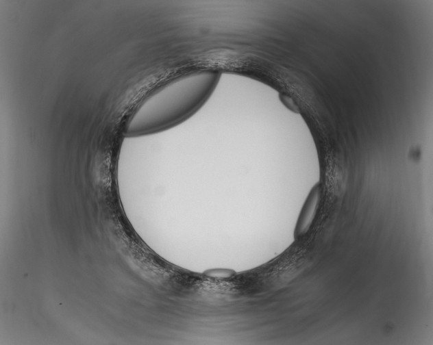 X0000114600403200911301427