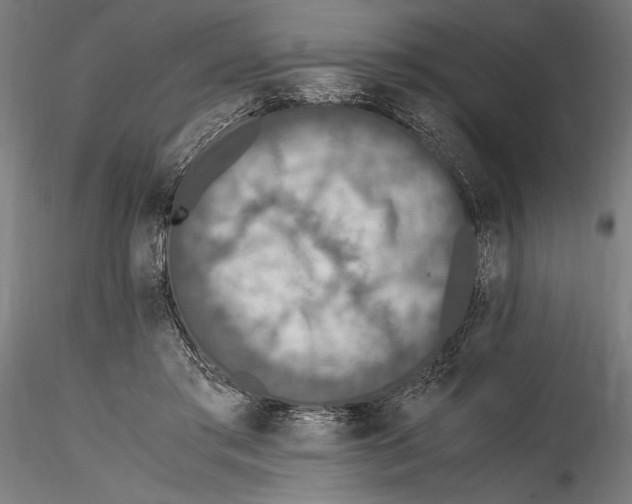 X0000114600405200911301427