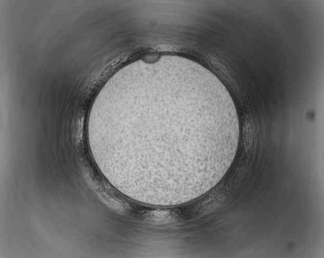 X0000114600406200911301427